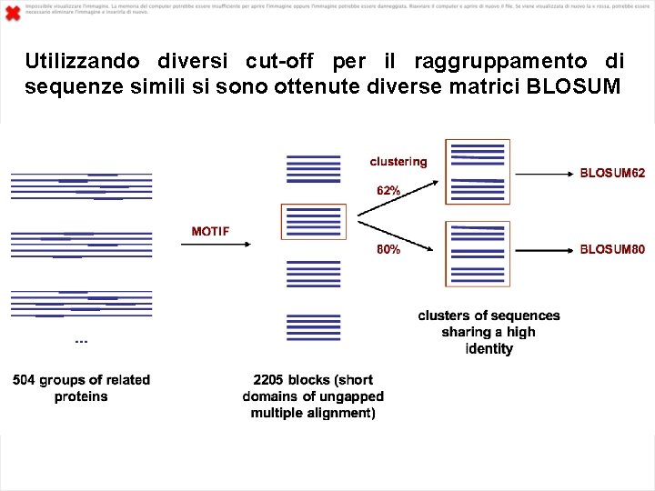 Utilizzando diversi cut-off per il raggruppamento di sequenze simili si sono ottenute diverse matrici