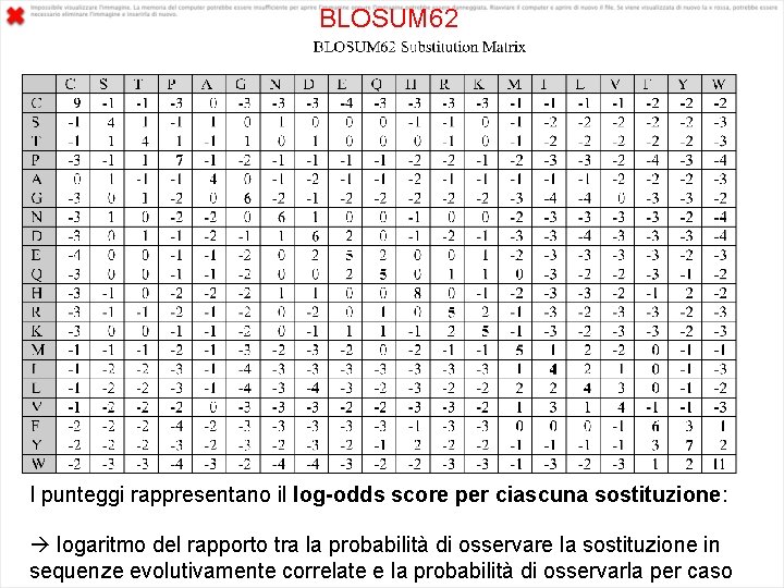 BLOSUM 62 I punteggi rappresentano il log-odds score per ciascuna sostituzione: logaritmo del rapporto