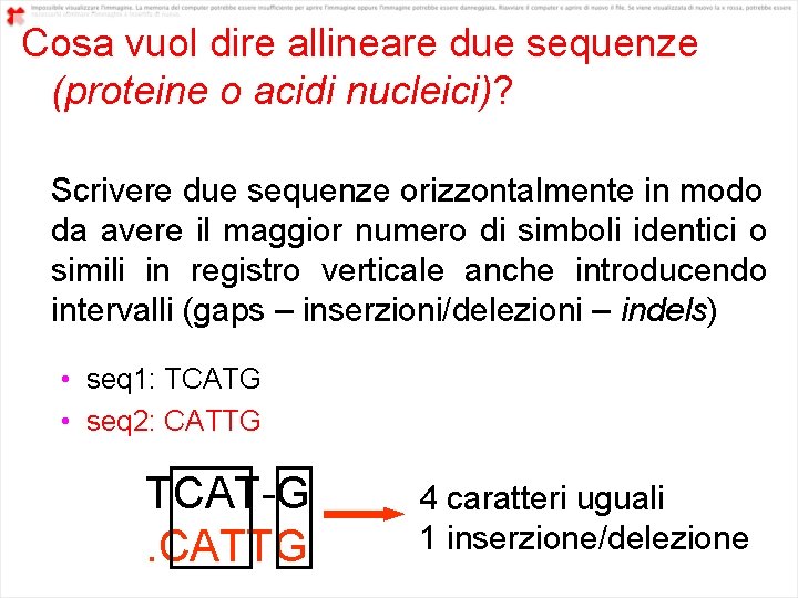 Cosa vuol dire allineare due sequenze (proteine o acidi nucleici)? Scrivere due sequenze orizzontalmente