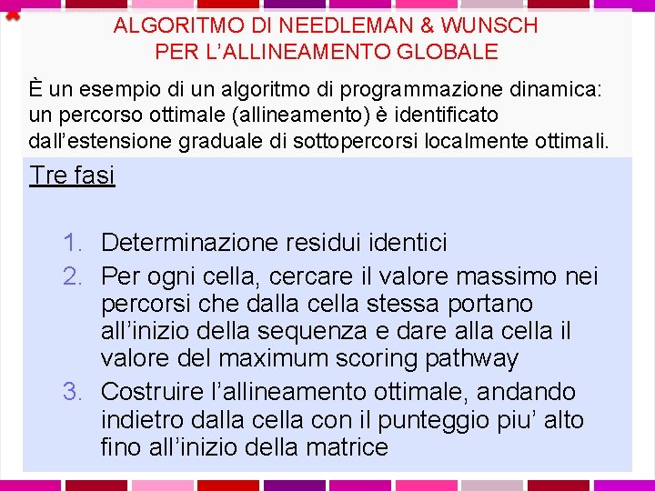 ALGORITMO DI NEEDLEMAN & WUNSCH PER L’ALLINEAMENTO GLOBALE È un esempio di un algoritmo