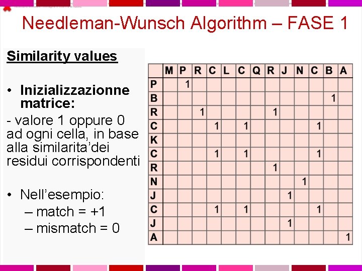 Needleman-Wunsch Algorithm – FASE 1 Similarity values • Inizializzazionne matrice: - valore 1 oppure