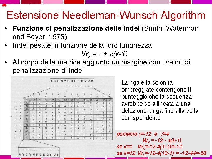 Estensione Needleman-Wunsch Algorithm • Funzione di penalizzazione delle indel (Smith, Waterman and Beyer, 1976)