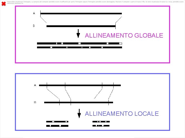 ALLINEAMENTO GLOBALE ALLINEAMENTO LOCALE 