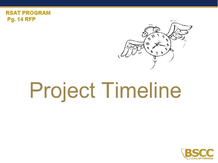 RSAT PROGRAM Pg. 14 RFP 