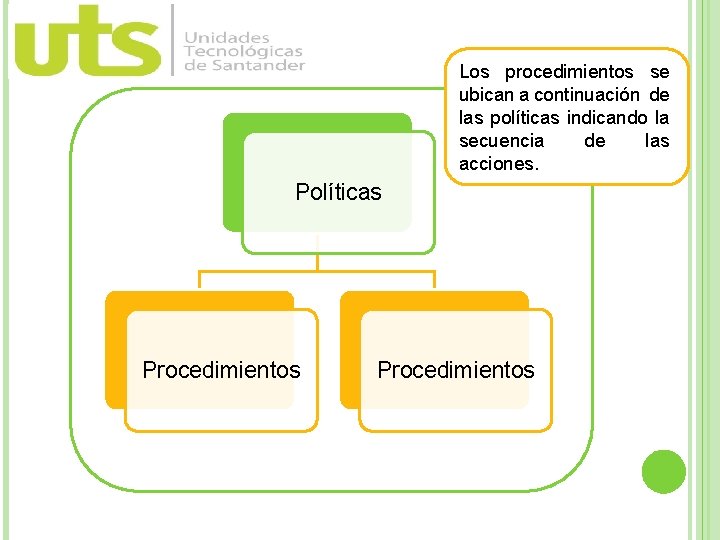 Los procedimientos se ubican a continuación de las políticas indicando la secuencia de las