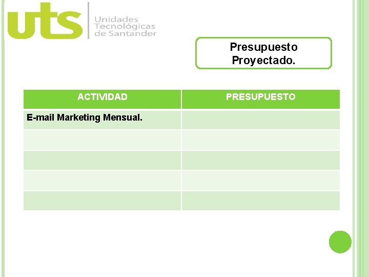 Presupuesto Proyectado. ACTIVIDAD E-mail Marketing Mensual. PRESUPUESTO 