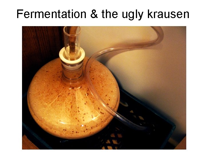 Fermentation & the ugly krausen 