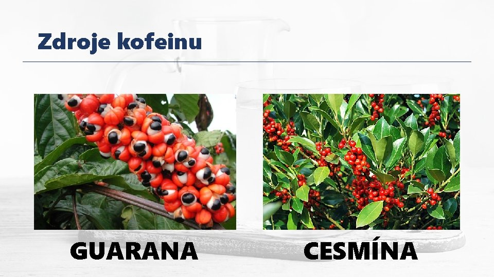 Zdroje kofeinu GUARANA CESMÍNA 