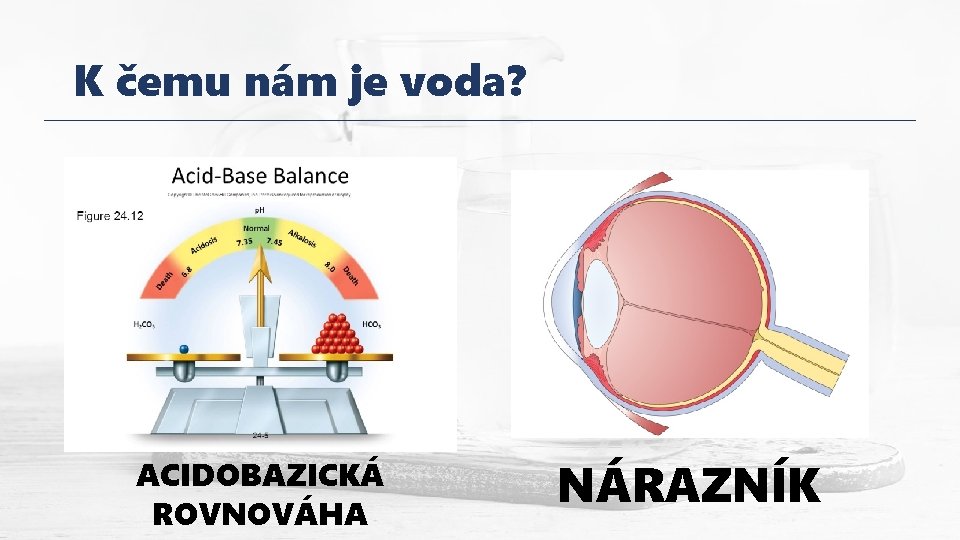 K čemu nám je voda? ACIDOBAZICKÁ ROVNOVÁHA NÁRAZNÍK 