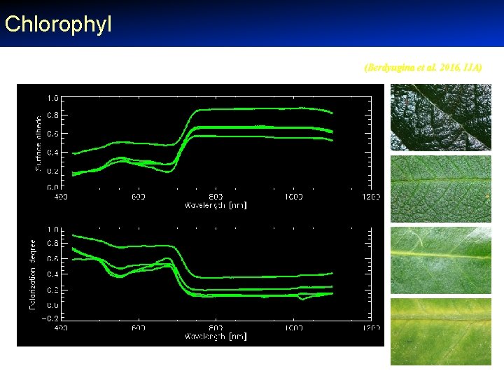 Chlorophyl (Berdyugina et al. 2016, IJA) 