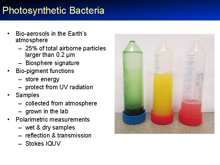 Photosynthetic Bacteria • Bio-aerosols in the Earth’s atmosphere – 25% of total airborne particles