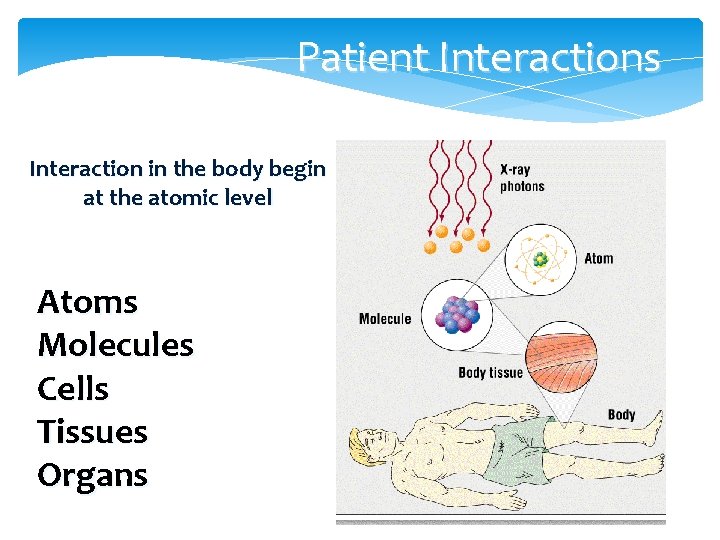 Patient Interactions Interaction in the body begin at the atomic level Atoms Molecules Cells