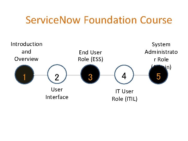 Service. Now Foundation Course Introduction and Overview 1 System Administrato r Role (Admin) End