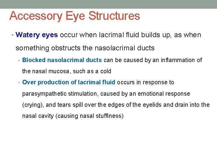 Accessory Eye Structures • Watery eyes occur when lacrimal fluid builds up, as when