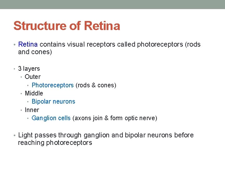 Structure of Retina • Retina contains visual receptors called photoreceptors (rods and cones) •