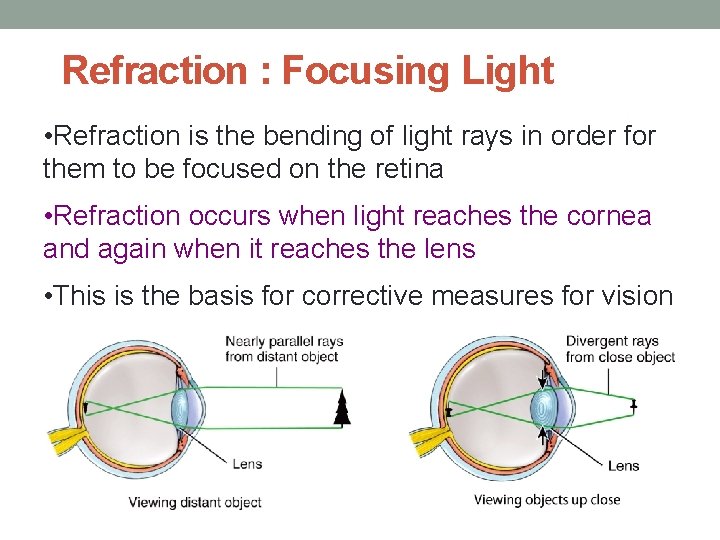 Refraction : Focusing Light • Refraction is the bending of light rays in order