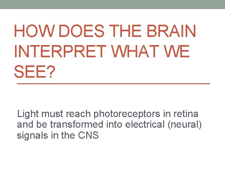 HOW DOES THE BRAIN INTERPRET WHAT WE SEE? Light must reach photoreceptors in retina