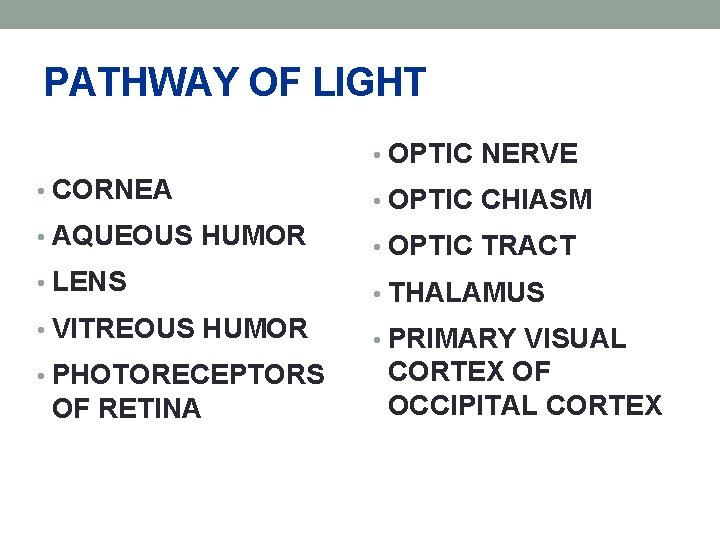 PATHWAY OF LIGHT • OPTIC NERVE • CORNEA • OPTIC CHIASM • AQUEOUS HUMOR