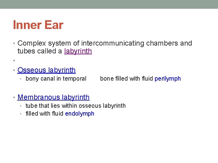 Inner Ear • Complex system of intercommunicating chambers and tubes called a labyrinth •