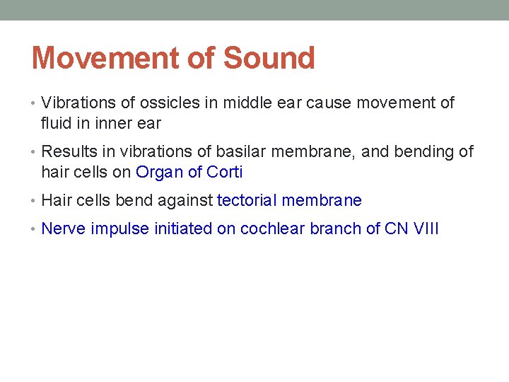 Movement of Sound • Vibrations of ossicles in middle ear cause movement of fluid