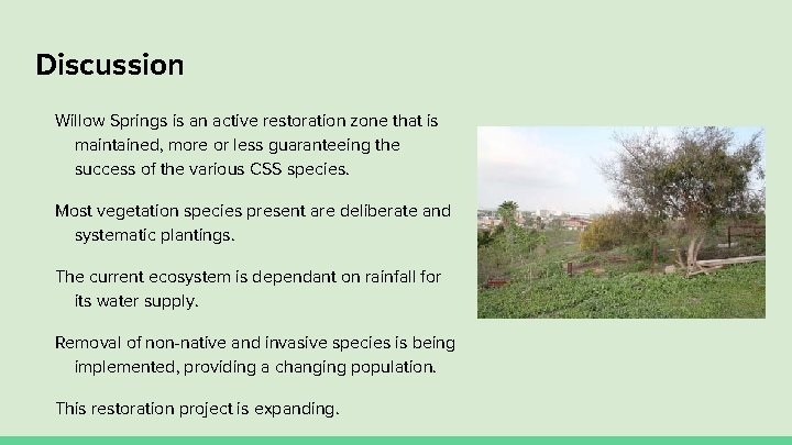 Discussion Willow Springs is an active restoration zone that is maintained, more or less