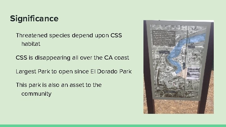 Significance Threatened species depend upon CSS habitat CSS is disappearing all over the CA