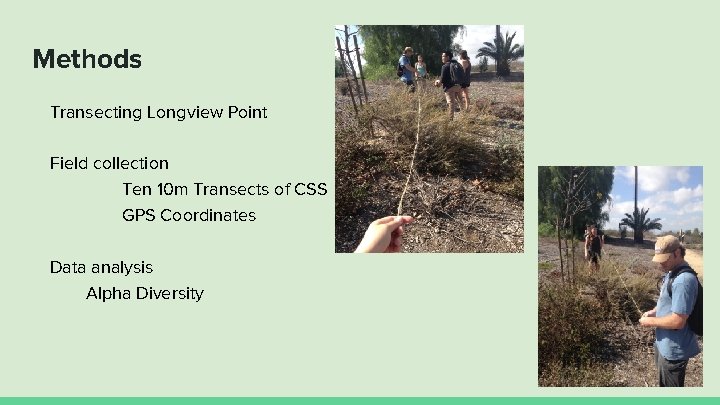 Methods Transecting Longview Point Field collection Ten 10 m Transects of CSS GPS Coordinates