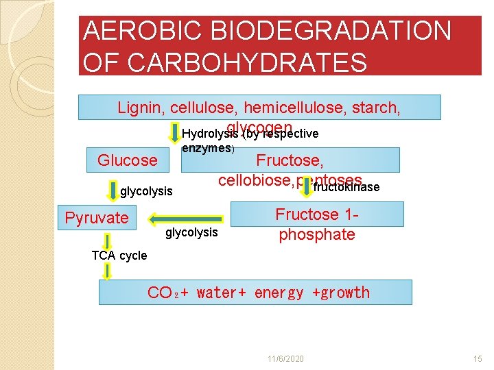 AEROBIC BIODEGRADATION OF CARBOHYDRATES Lignin, cellulose, hemicellulose, starch, glycogen Hydrolysis (by respective enzymes) Glucose