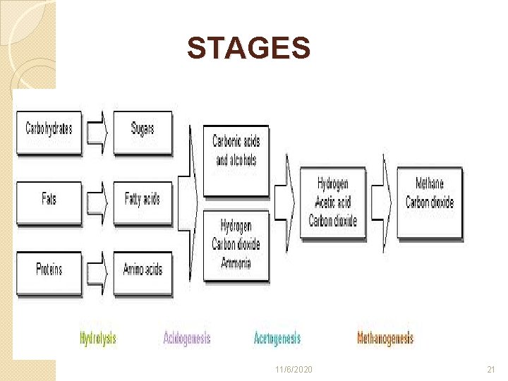 STAGES 11/6/2020 21 