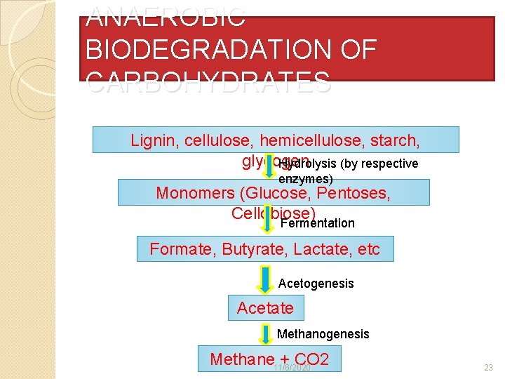 ANAEROBIC BIODEGRADATION OF CARBOHYDRATES Lignin, cellulose, hemicellulose, starch, glycogen Hydrolysis (by respective enzymes) Monomers
