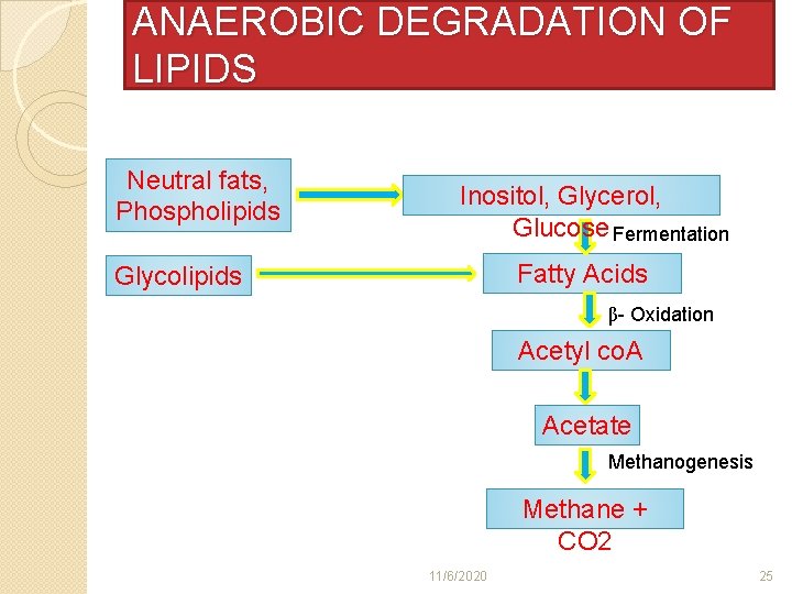 ANAEROBIC DEGRADATION OF LIPIDS Neutral fats, Phospholipids Inositol, Glycerol, Glucose Fermentation Fatty Acids Glycolipids
