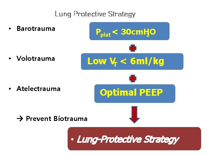 Lung Protective Strategy • Barotrauma Pplat < 30 cm. H 2 O • Volotrauma