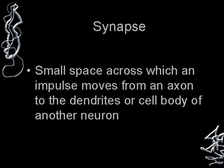 Synapse • Small space across which an impulse moves from an axon to the