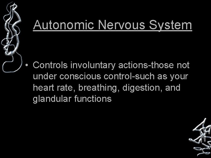 Autonomic Nervous System • Controls involuntary actions-those not under conscious control-such as your heart