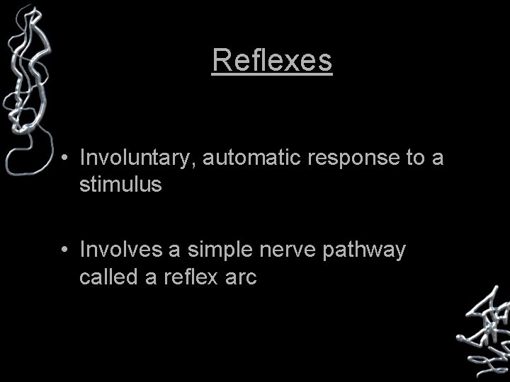 Reflexes • Involuntary, automatic response to a stimulus • Involves a simple nerve pathway