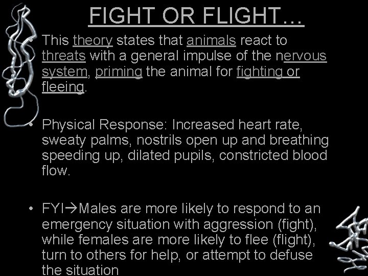 FIGHT OR FLIGHT… • This theory states that animals react to threats with a
