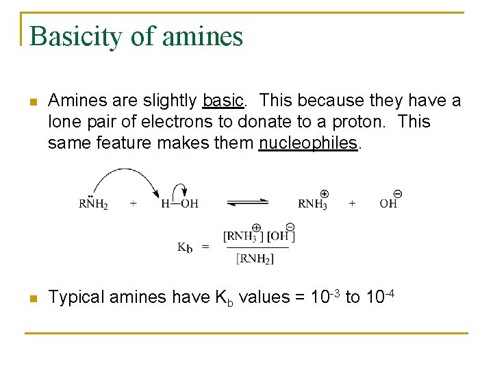 Basicity of amines n Amines are slightly basic. This because they have a lone