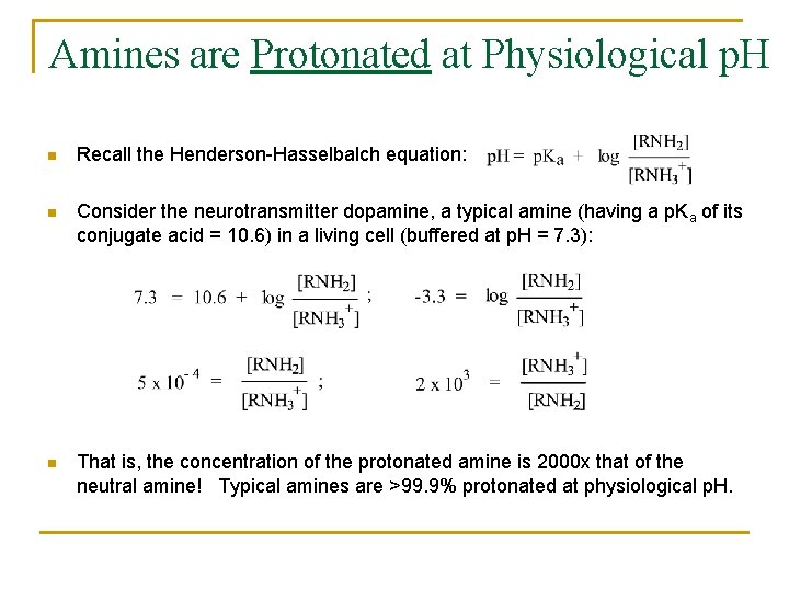 Amines are Protonated at Physiological p. H n Recall the Henderson-Hasselbalch equation: n Consider