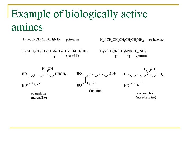 Example of biologically active amines 