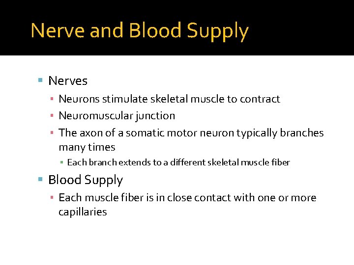 Nerve and Blood Supply Nerves ▪ Neurons stimulate skeletal muscle to contract ▪ Neuromuscular