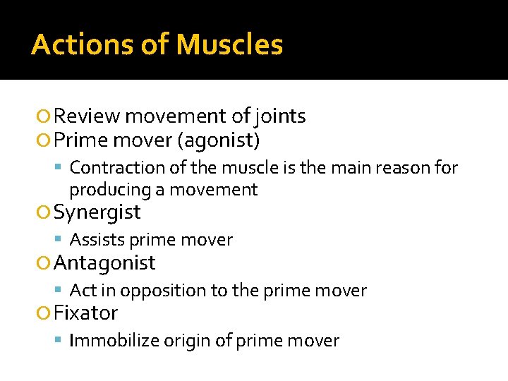 Actions of Muscles Review movement of joints Prime mover (agonist) Contraction of the muscle