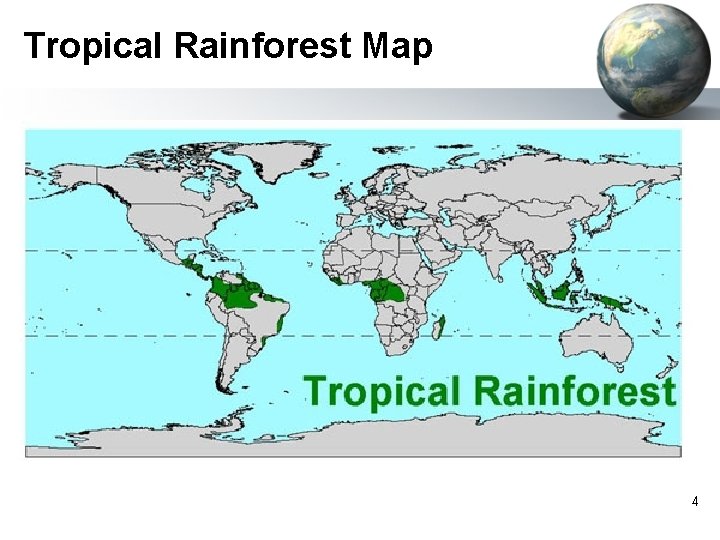 Tropical Rainforest Map 4 