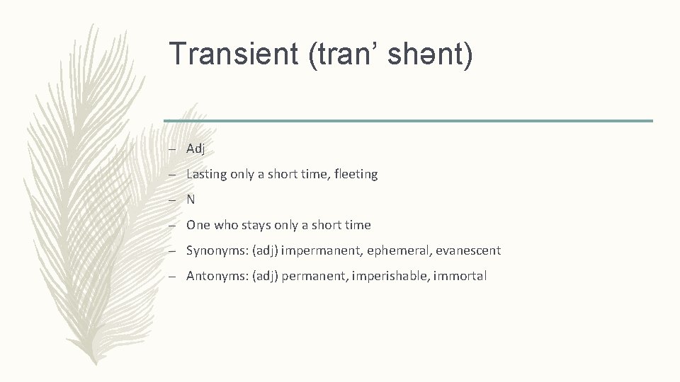 Transient (tran’ shǝnt) – Adj – Lasting only a short time, fleeting – N