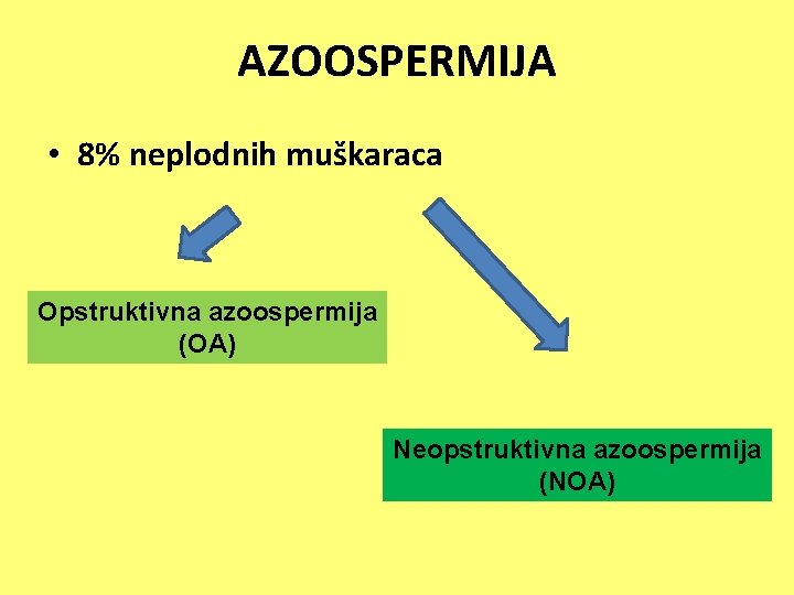 AZOOSPERMIJA • 8% neplodnih muškaraca Opstruktivna azoospermija (OA) Neopstruktivna azoospermija (NOA) 