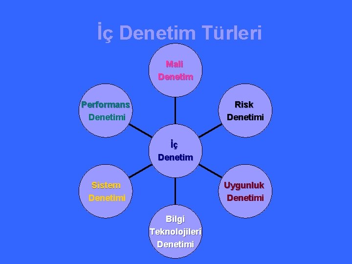  İç Denetim Türleri Mali Denetim Performans Denetimi Risk Denetimi İç Denetim Sistem Denetimi