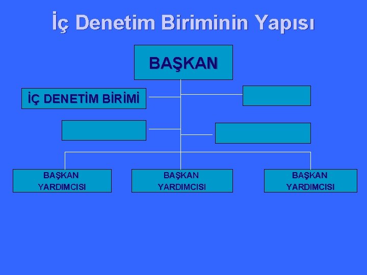 İç Denetim Biriminin Yapısı BAŞKAN İÇ DENETİM BİRİMİ BAŞKAN YARDIMCISI 