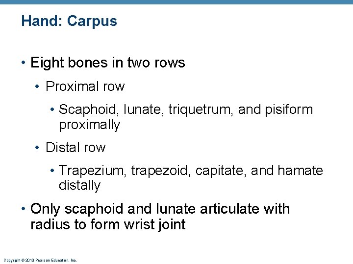 Hand: Carpus • Eight bones in two rows • Proximal row • Scaphoid, lunate,