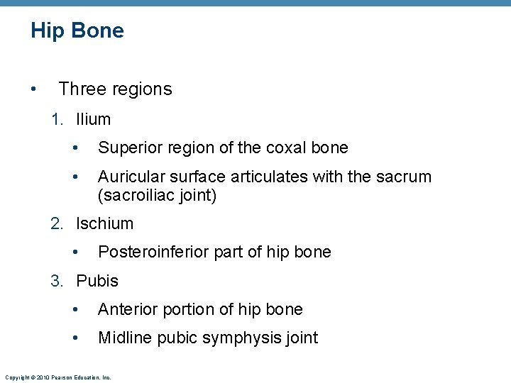 Hip Bone • Three regions 1. Ilium • Superior region of the coxal bone