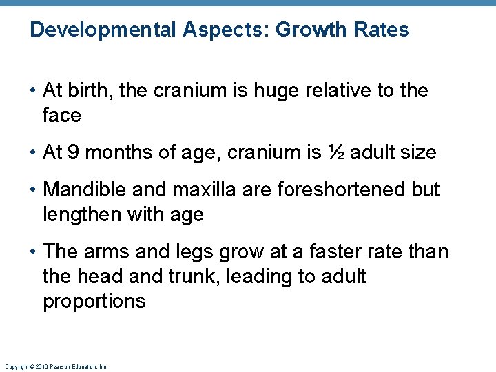 Developmental Aspects: Growth Rates • At birth, the cranium is huge relative to the