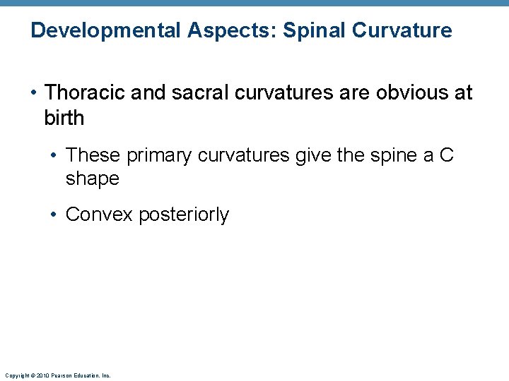 Developmental Aspects: Spinal Curvature • Thoracic and sacral curvatures are obvious at birth •